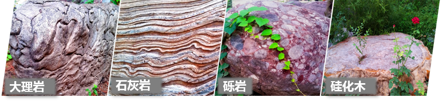 1562246324914077523.png 图片1.png